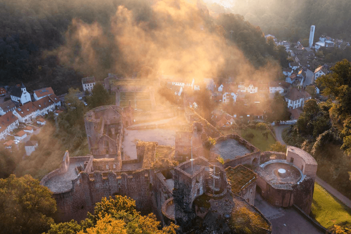 Rhine, wine, and forest – enjoy the Palatinate openly.