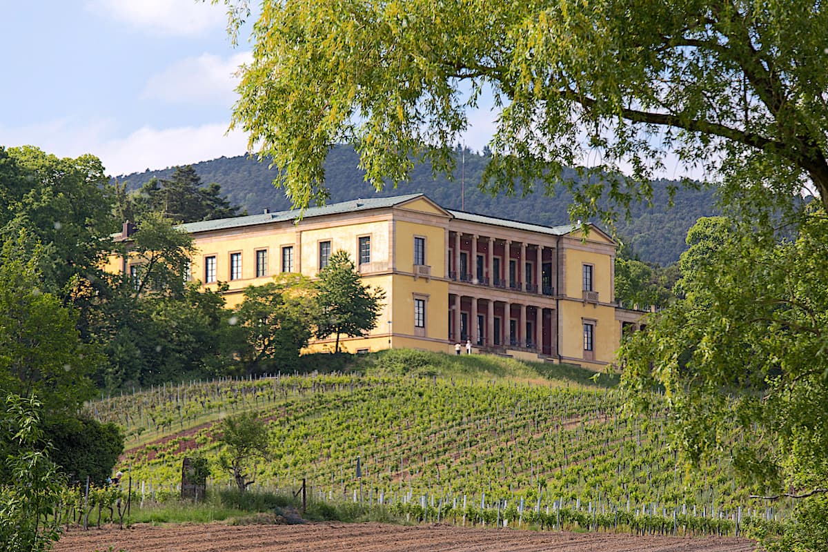 German Wine Route