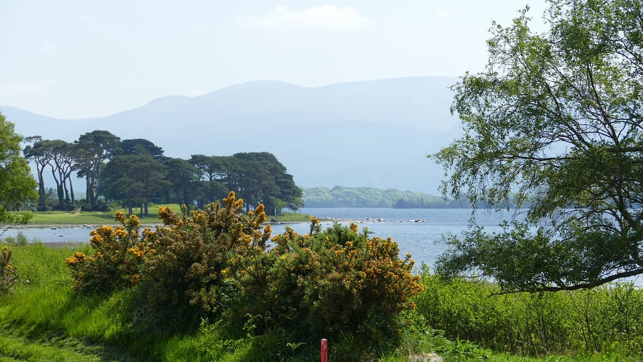 Killarney National Park