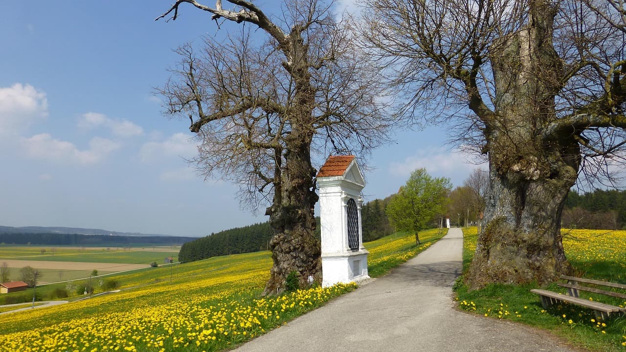 To the 10 best cities in the Allgäu