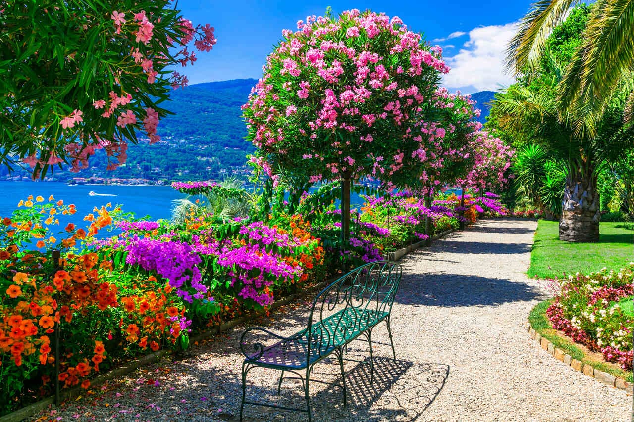 Lake Maggiore