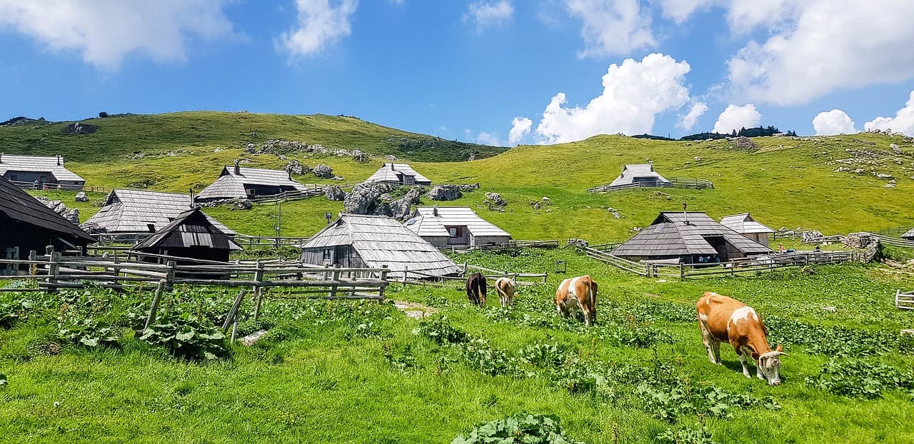 Velika Planina