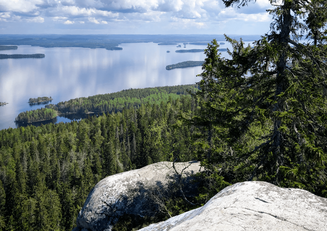 Koli National Park