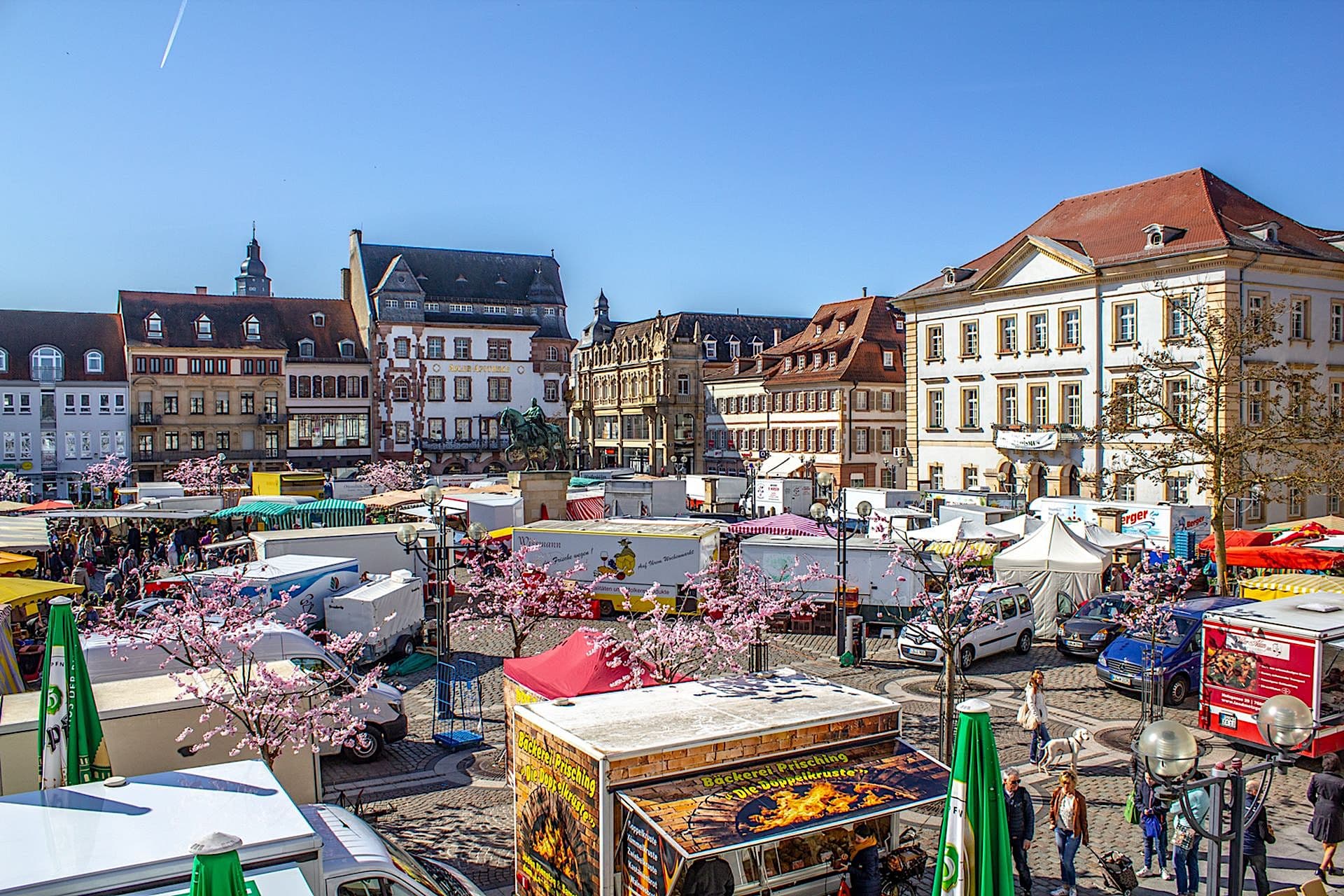 Landau in the Palatinate