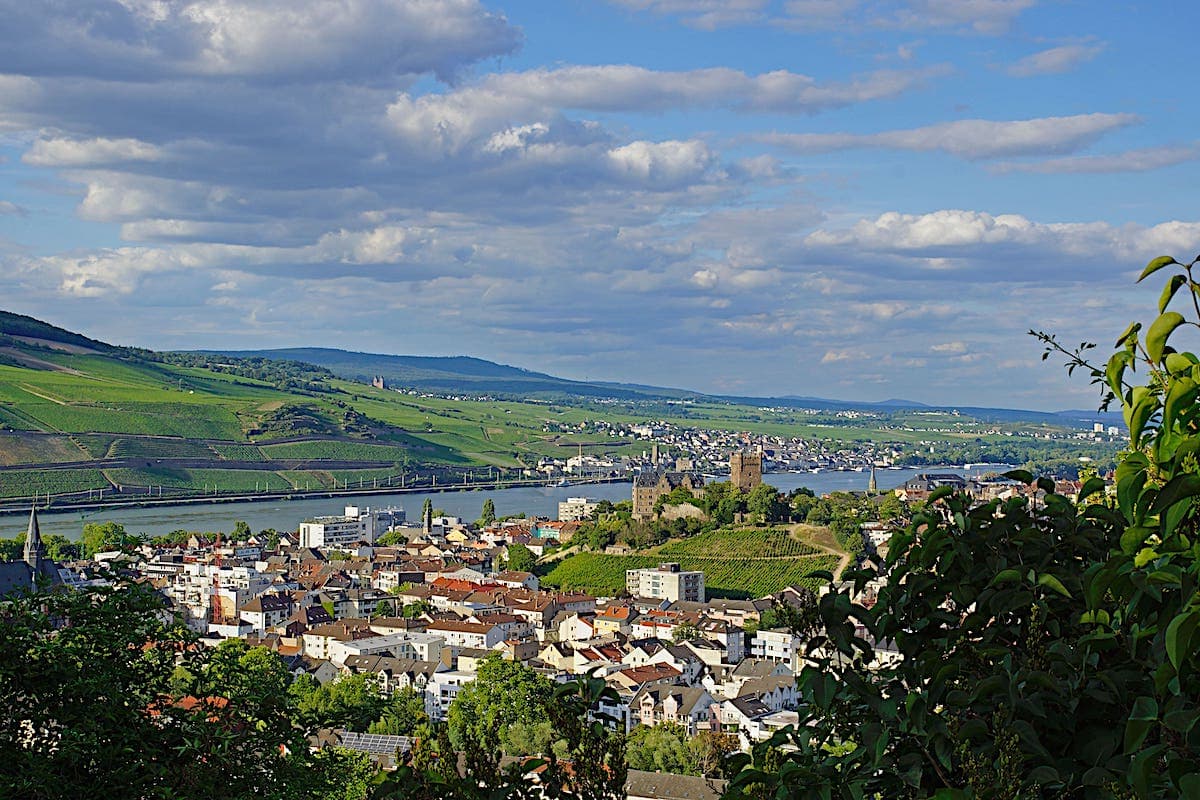 Bingen